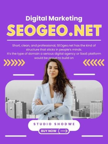 SEOgeo.net – A Powerful, Brandable SEO Domain Built for Global Visibility